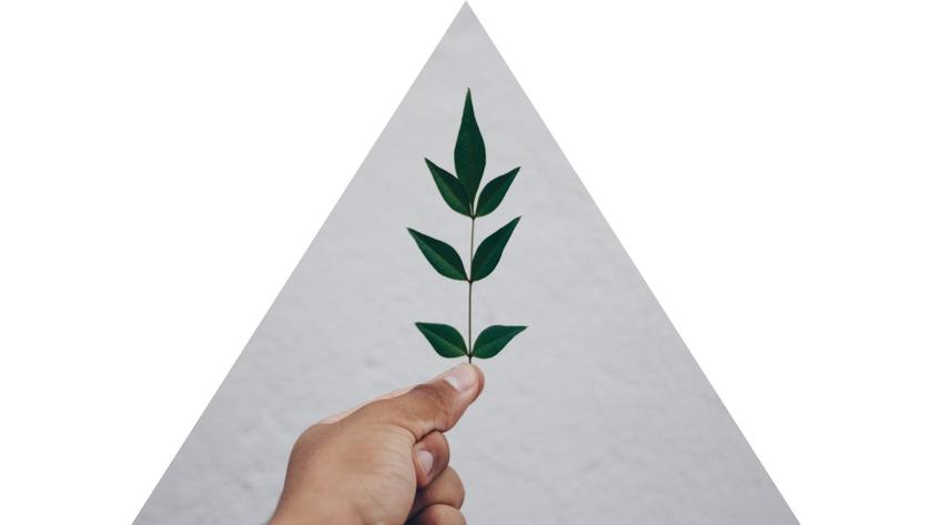 ENVIRONNEMENT