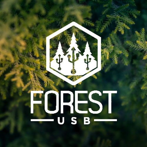 Gravure sur rondin de bois unique – Forest USB®