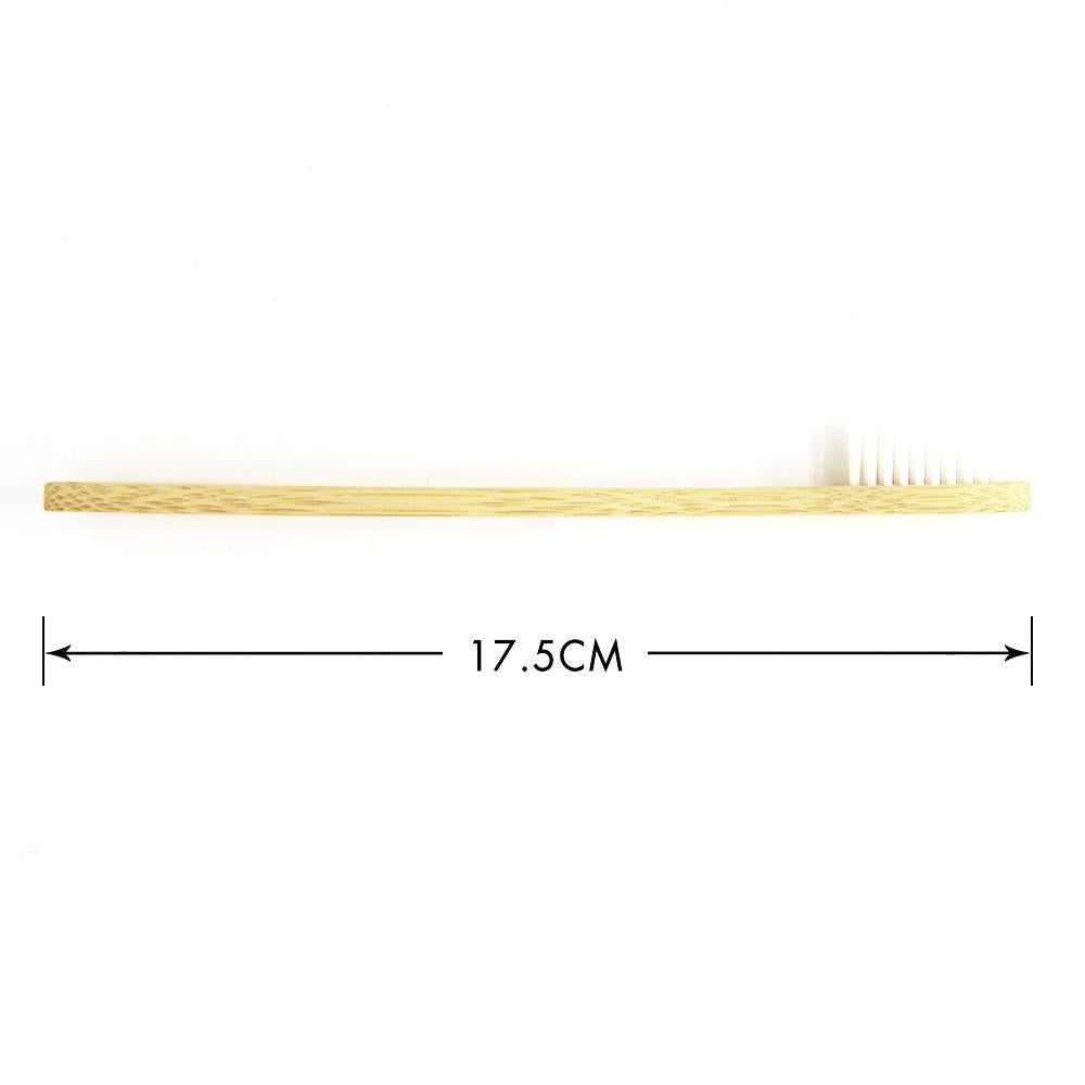 Brosse à Dent Bambou Classique x 1 - Forest USB®