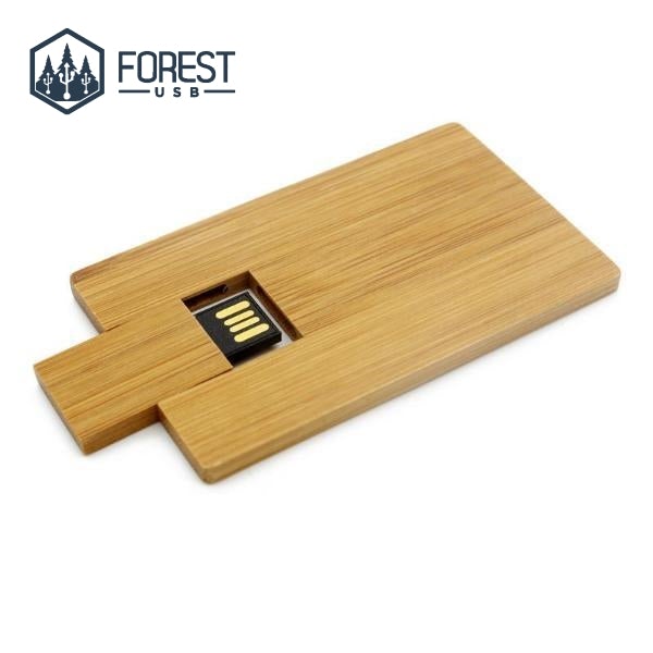 Carte Publicitaire USB Teinte Mélèze - Forest USB®