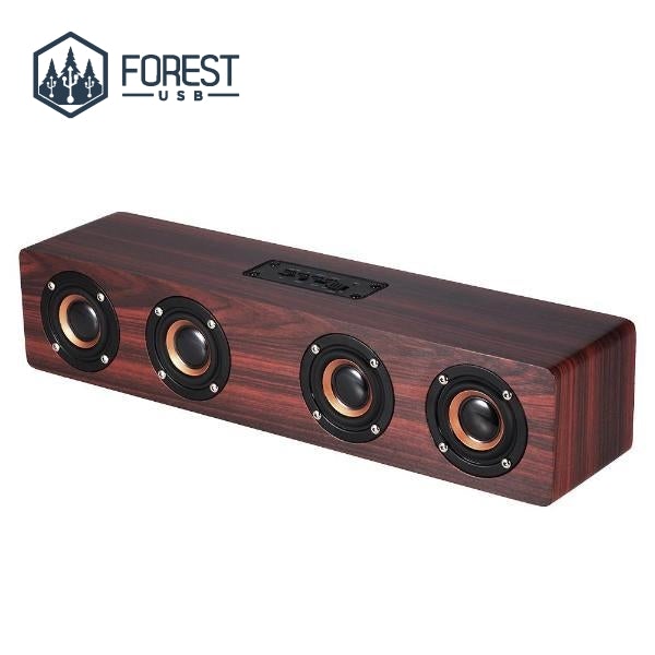 Enceinte Double en Bois - Forest USB®