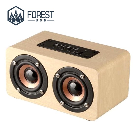 Enceinte sans fil en bois - Forest USB®