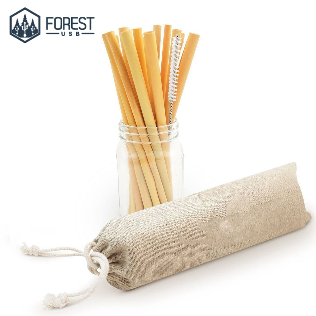 Paille Bambou Bio x 12 - Forest USB®