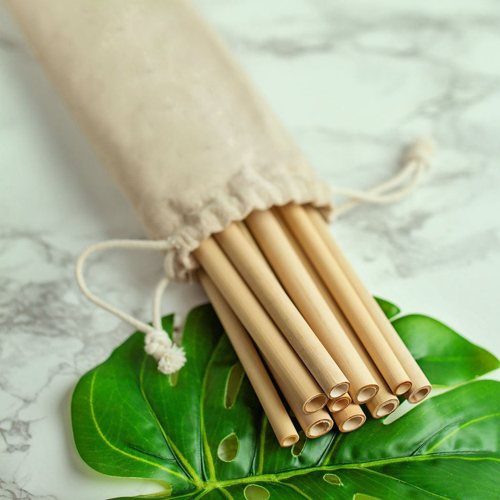 Paille Bambou Bio x 12 - Forest USB®