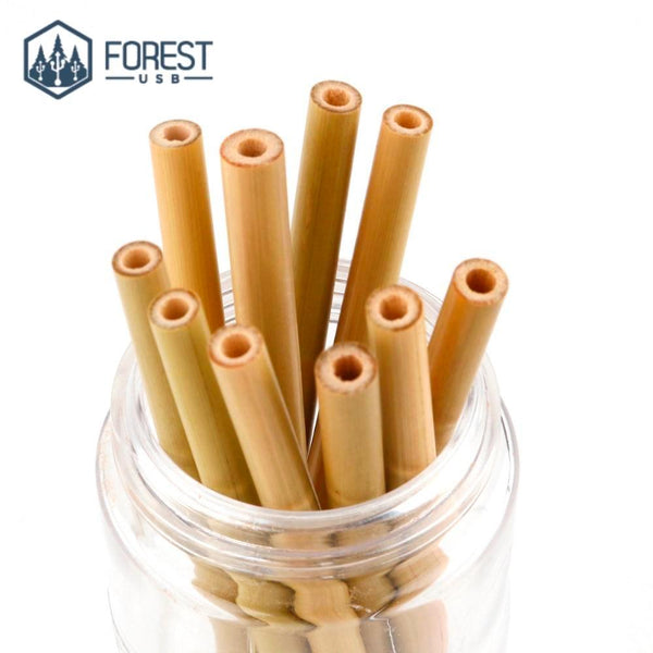 Paille Bambou x 10 - Forest USB®