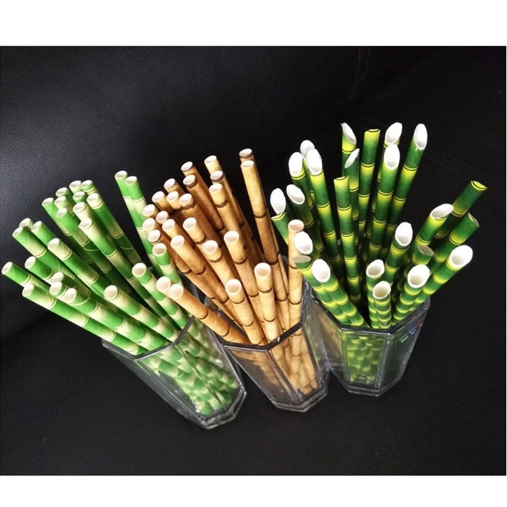 Paille en Papier x 25 - Forest USB®