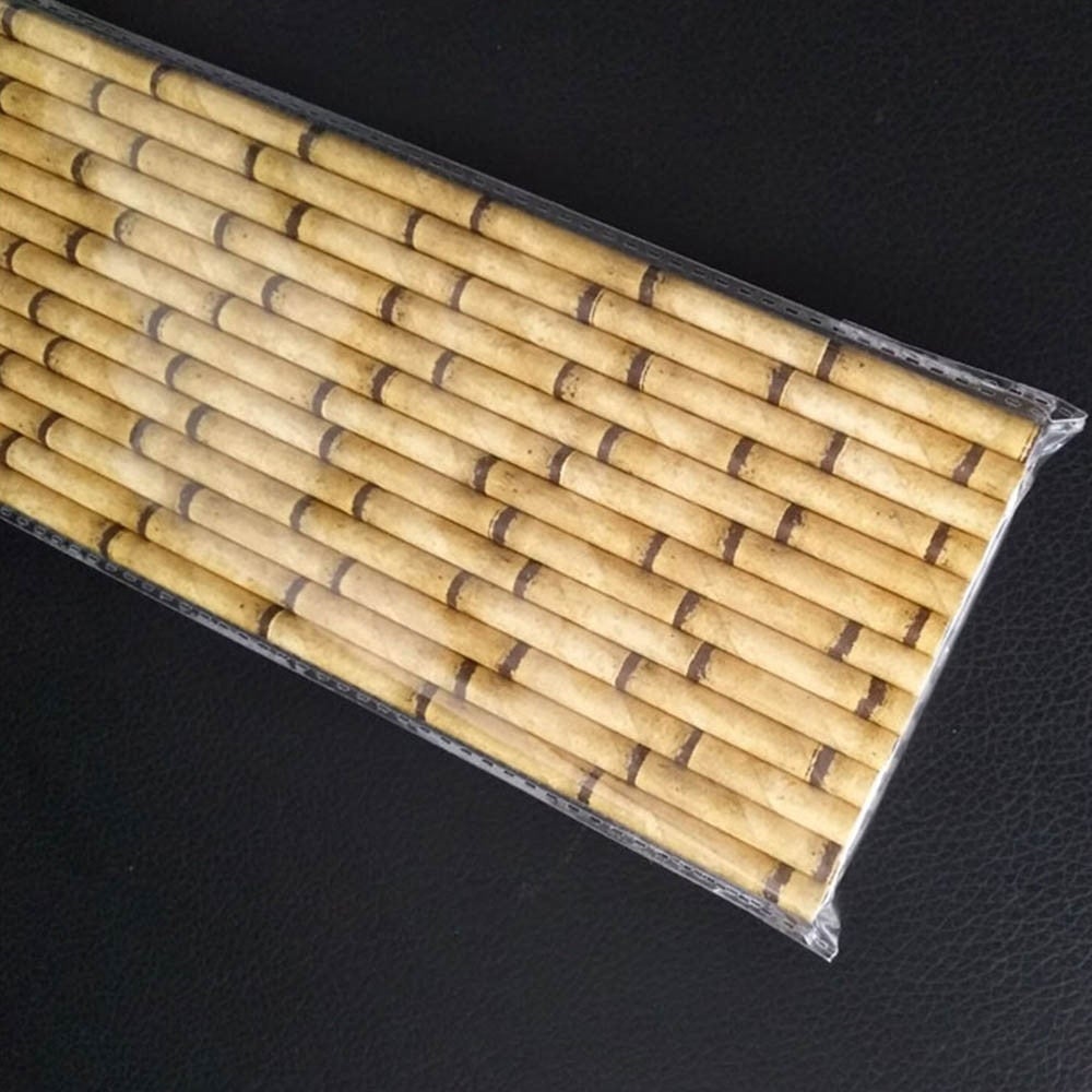 Paille en Papier x 25 - Forest USB®