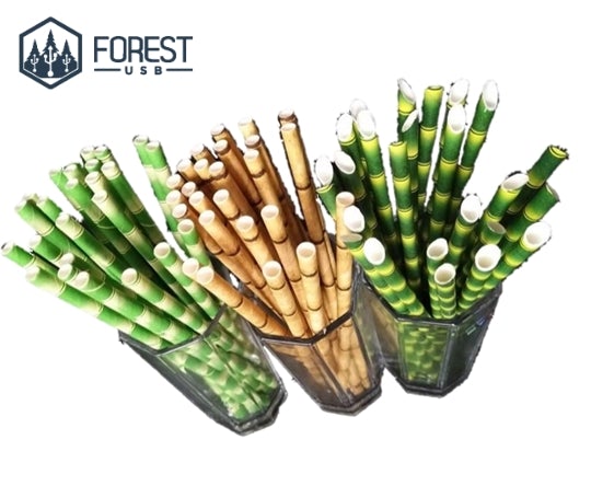 Paille en Papier x 25 - Forest USB®