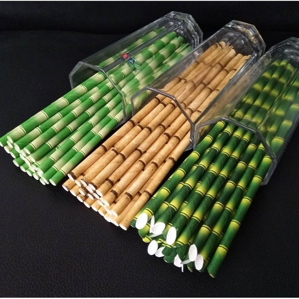 Paille en Papier x 25 - Forest USB®