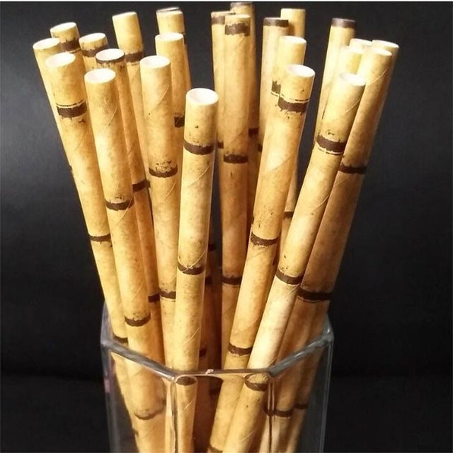 Paille en Papier x 25 - Forest USB®