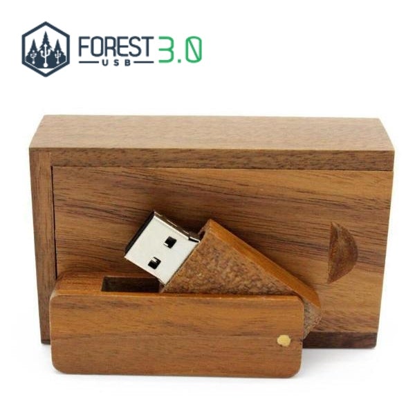 ✓Panorama clé USB 3.0 en bois de Noyer avec Boite ✓ – Forest USB®