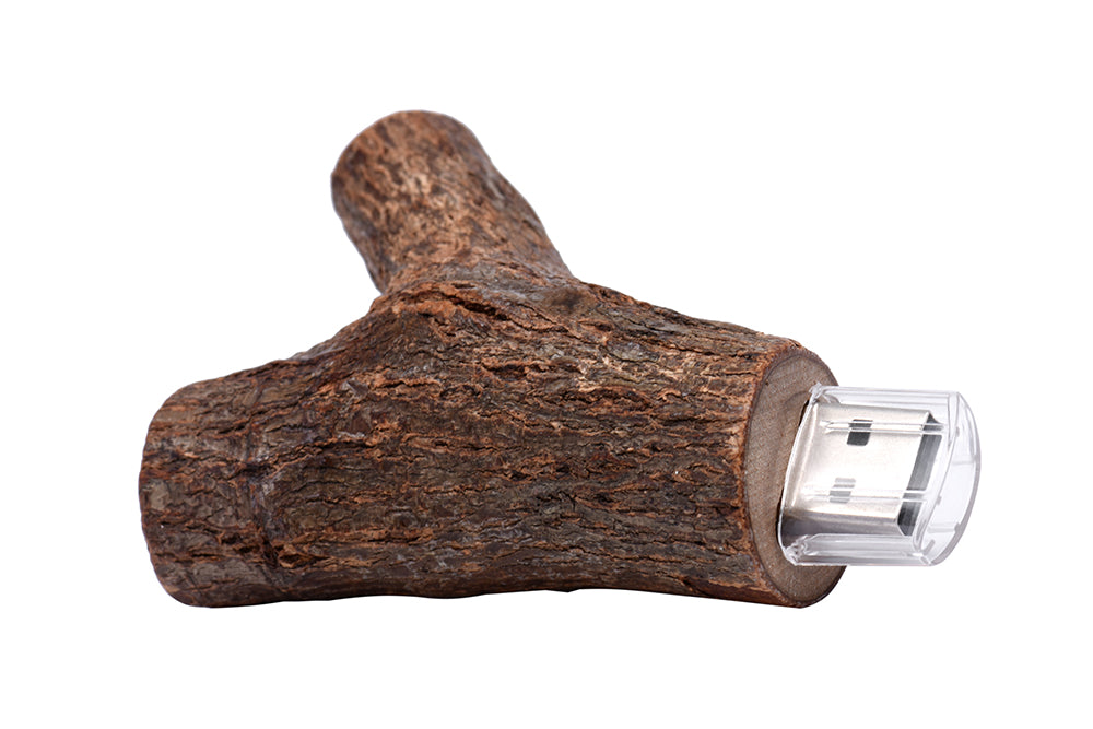 Branche de bois USB